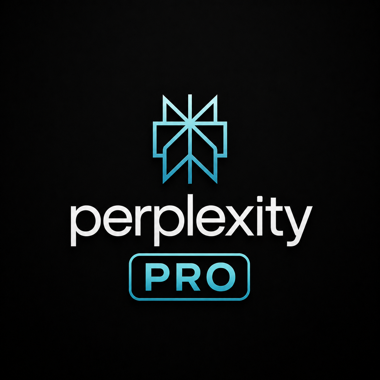 PERPLEXITY PRO